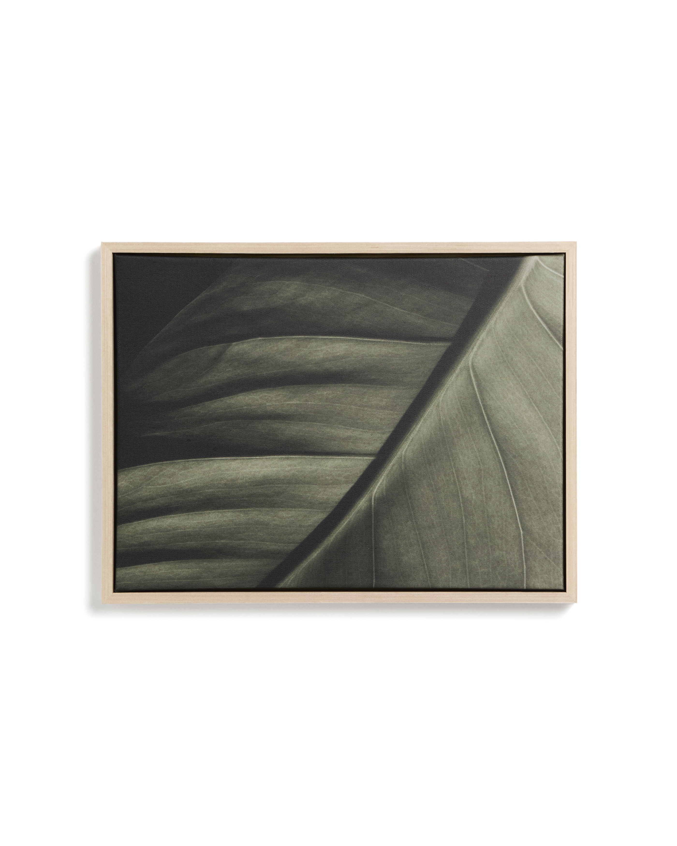 Фотография листа Foliae размер 32,5 x 42,5 см La Forma 481677