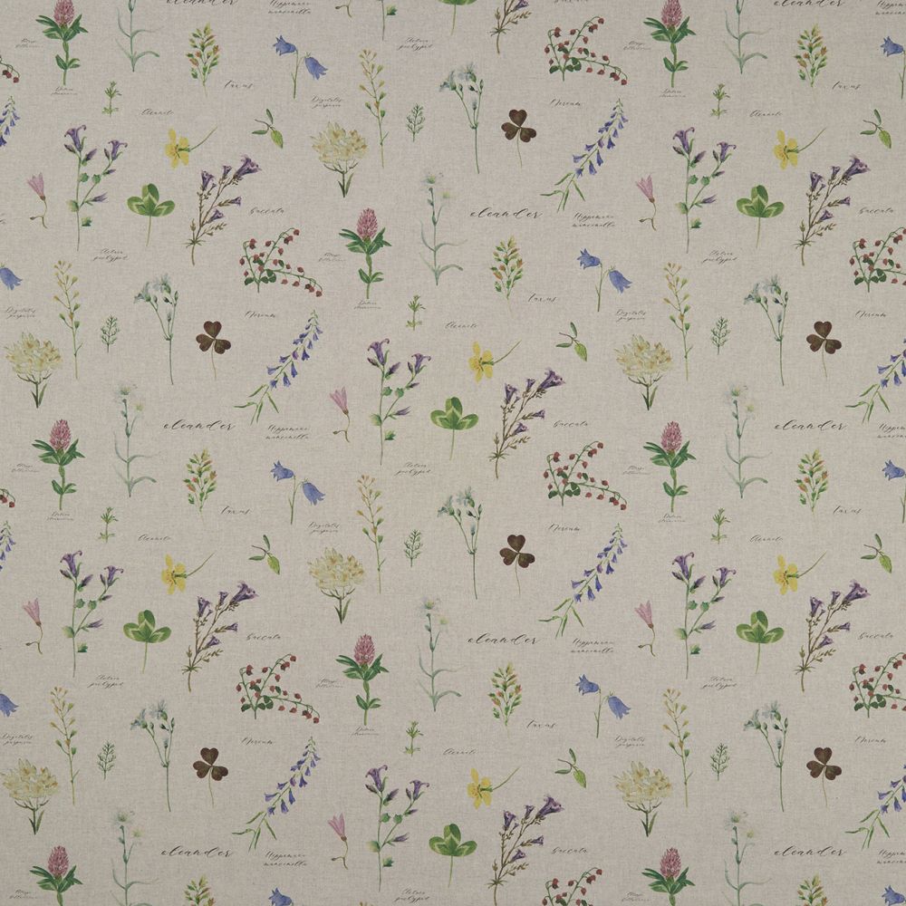Текстиль Clarke & Clarke Country Garden F1167/01