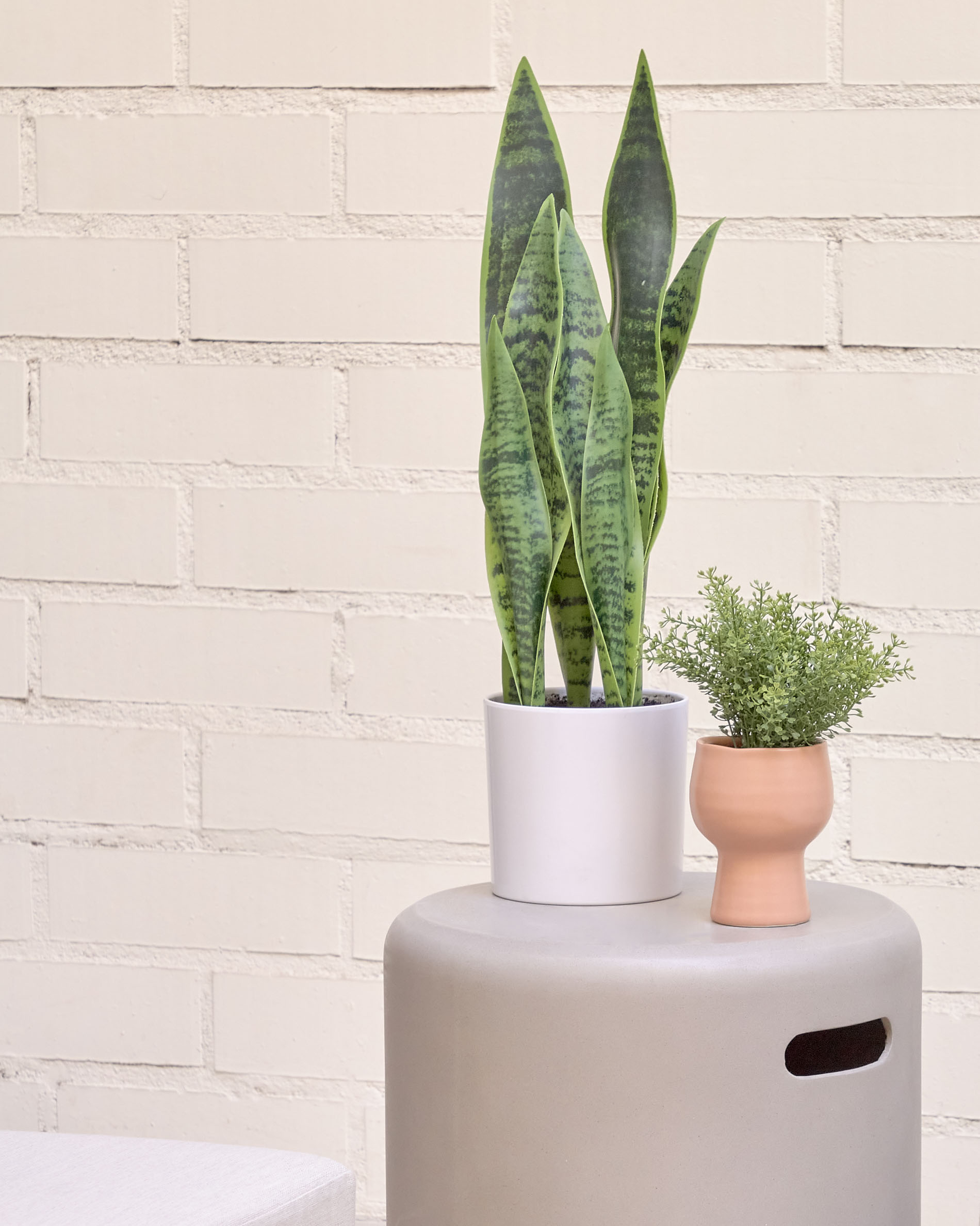 Искусственное растение Sansevieria с белым горшком 55 см La Forma (ex Julia Grup)