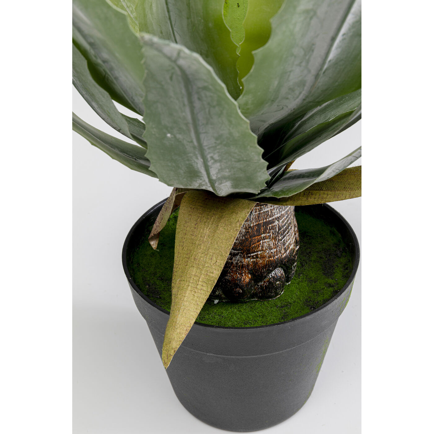 Растение декоративное Agave 40 см KARE 55917