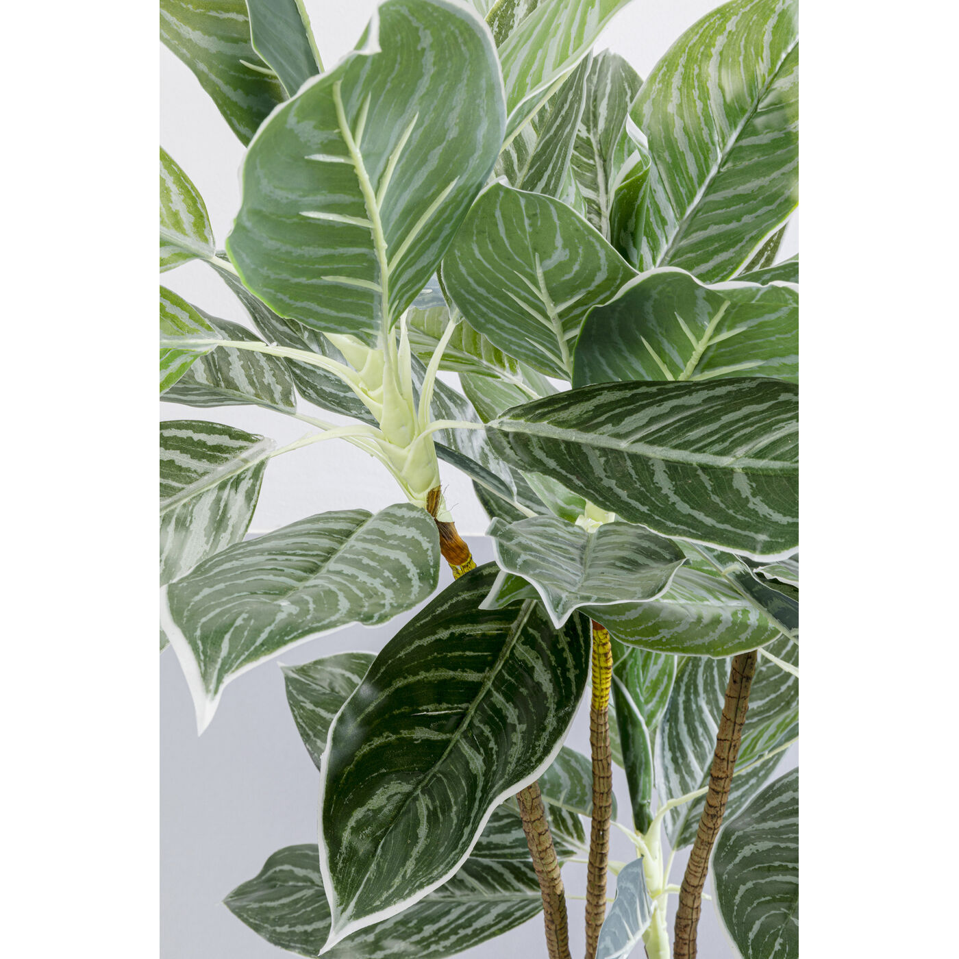 Растение декоративное Calathea 140 см KARE 55914