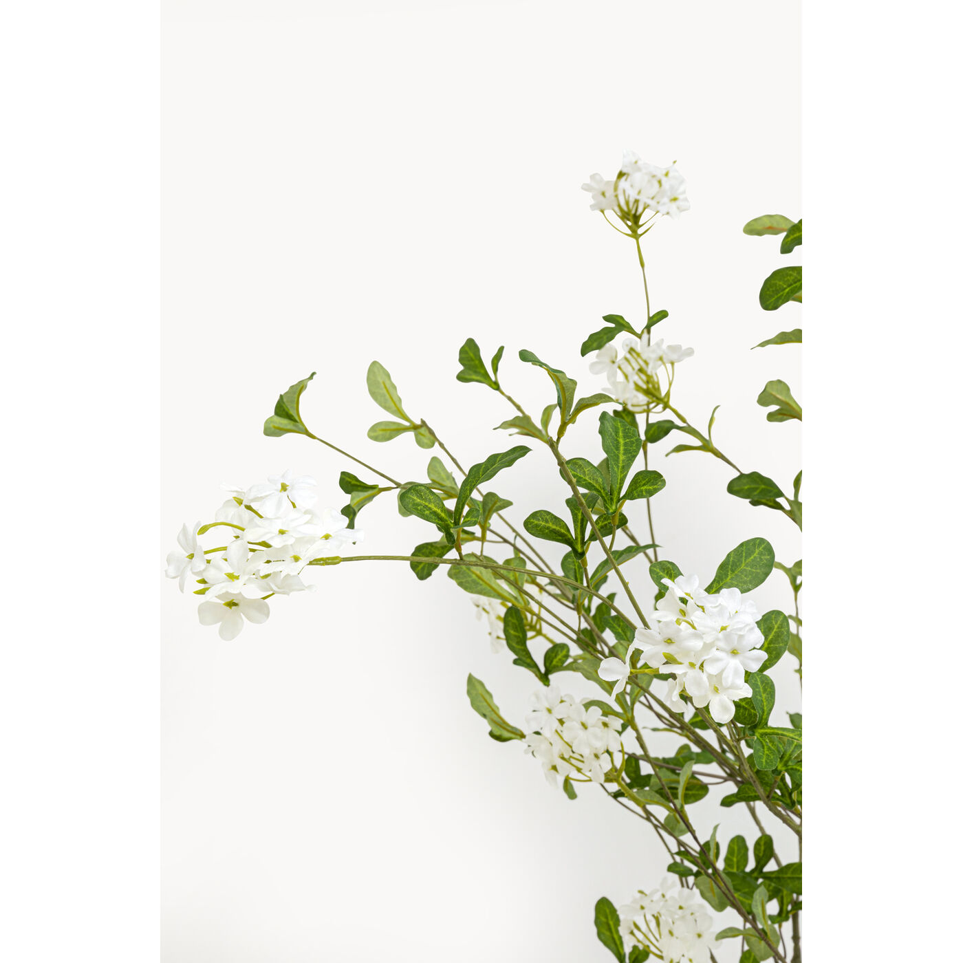 Растение декоративное PlumСумкаo Tree 152cm KARE 57947