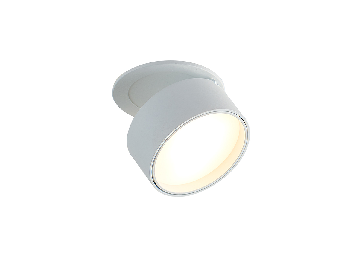 Встраиваемый поворотный светодиодный светильник Donolux DL18959R12W1W