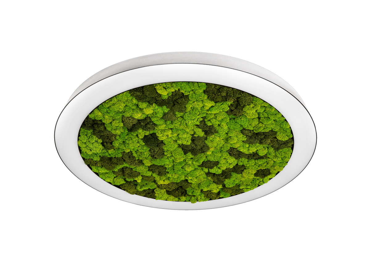 Накладной светодиодный светильник Donolux DL1000C90WW Moss White