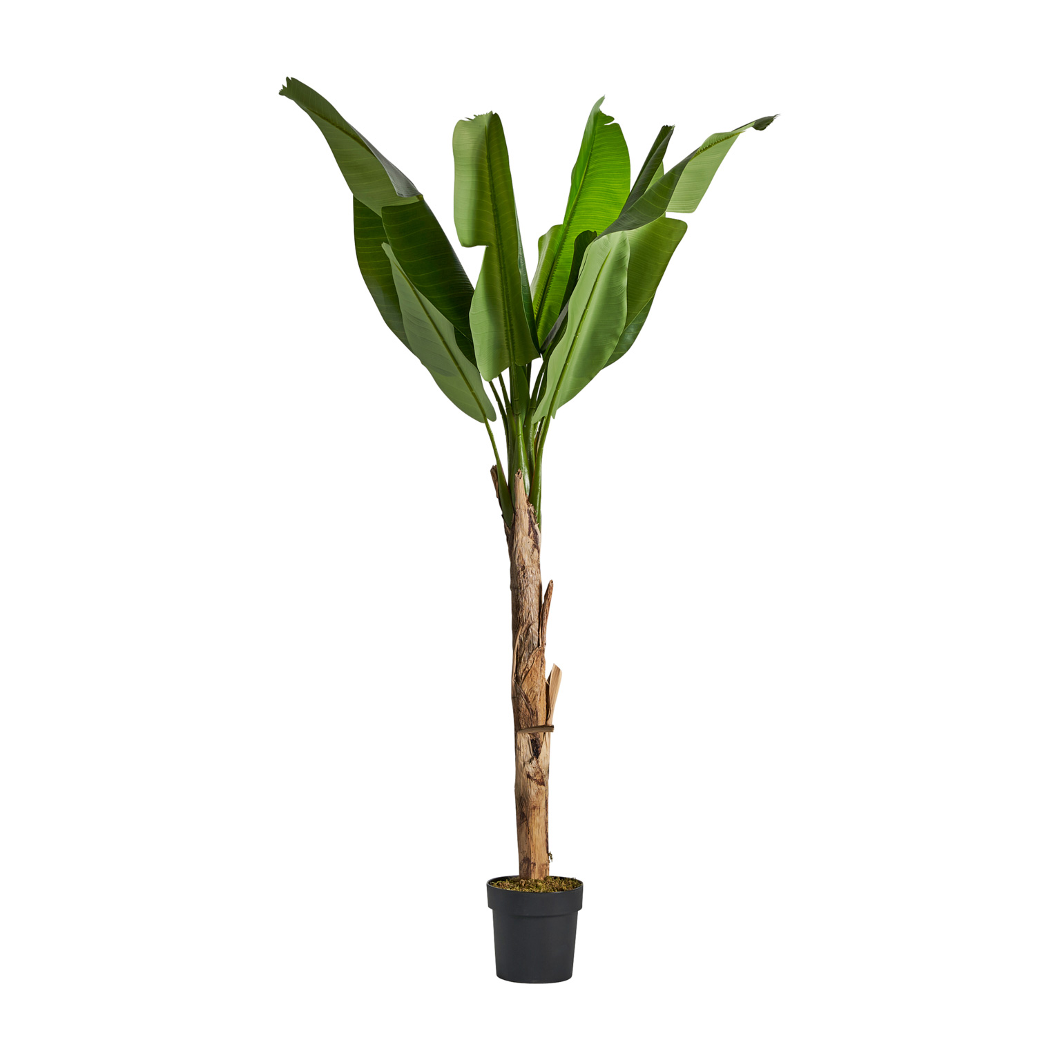 Искусственное растение BANANERA Vical