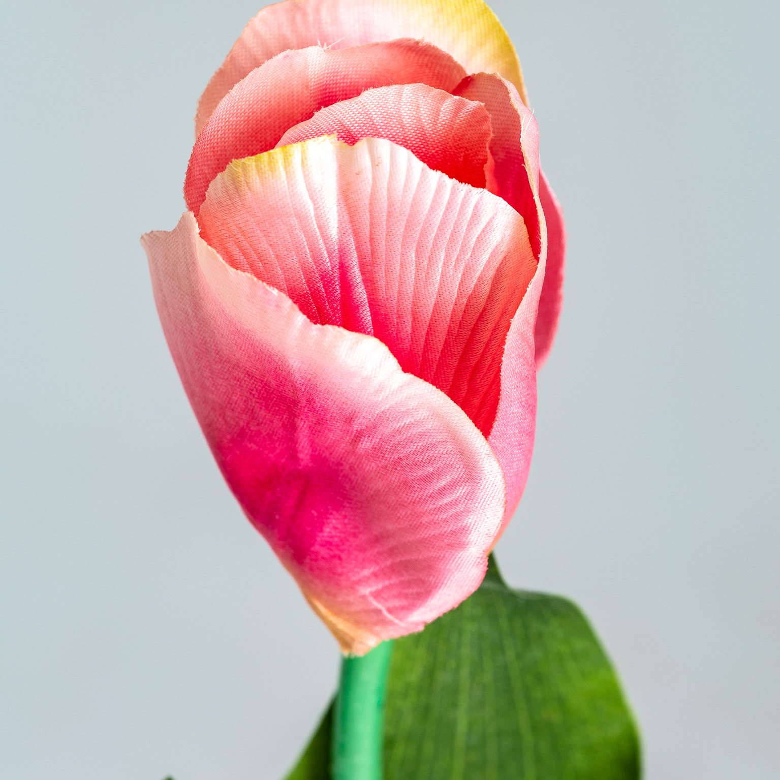 Цветок TULIPAN в розовом цвете Vical