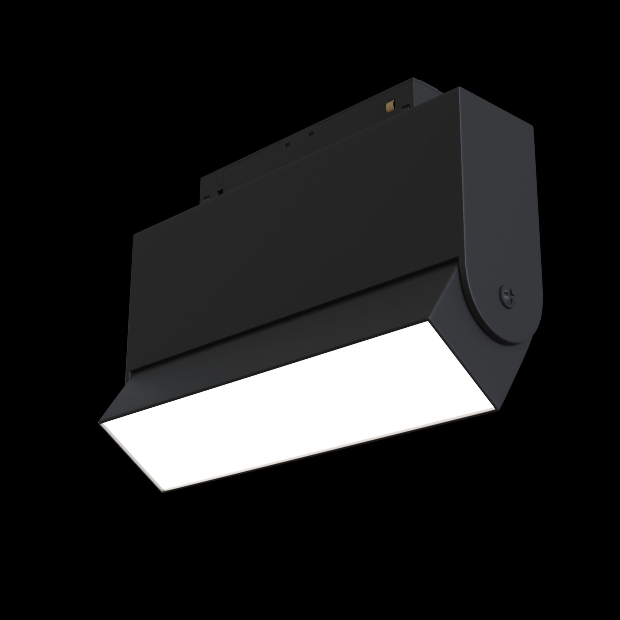 Трековый светильник Maytoni TR013-2-10W4K-B