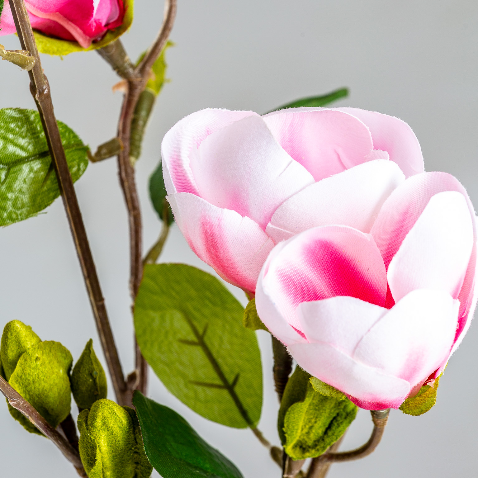 Цветок MAGNOLIA Vical