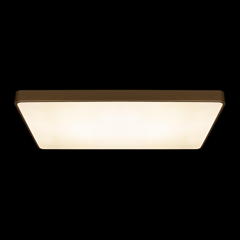 Накладной светильник LOFT IT 10228/E