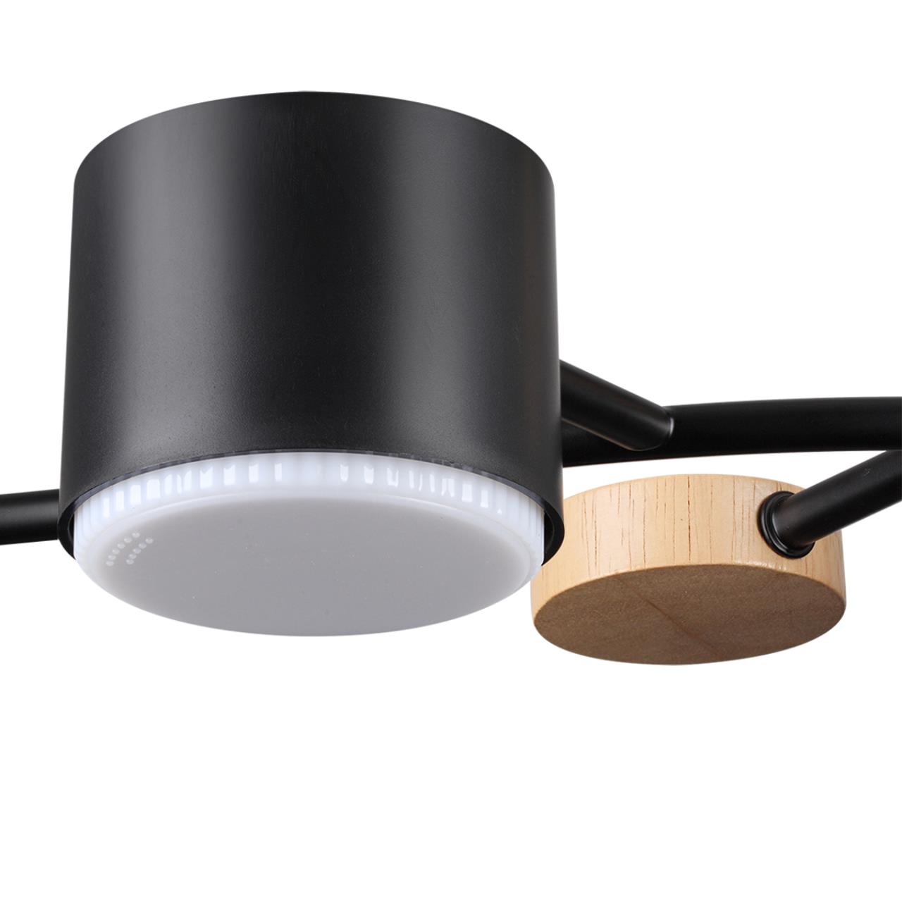 Потолочный светильник Lumion 8194/5C