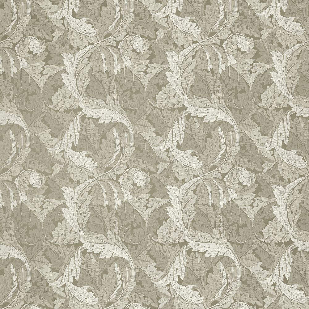 Текстиль Clarke & Clarke William Morris Weaves F1740/04