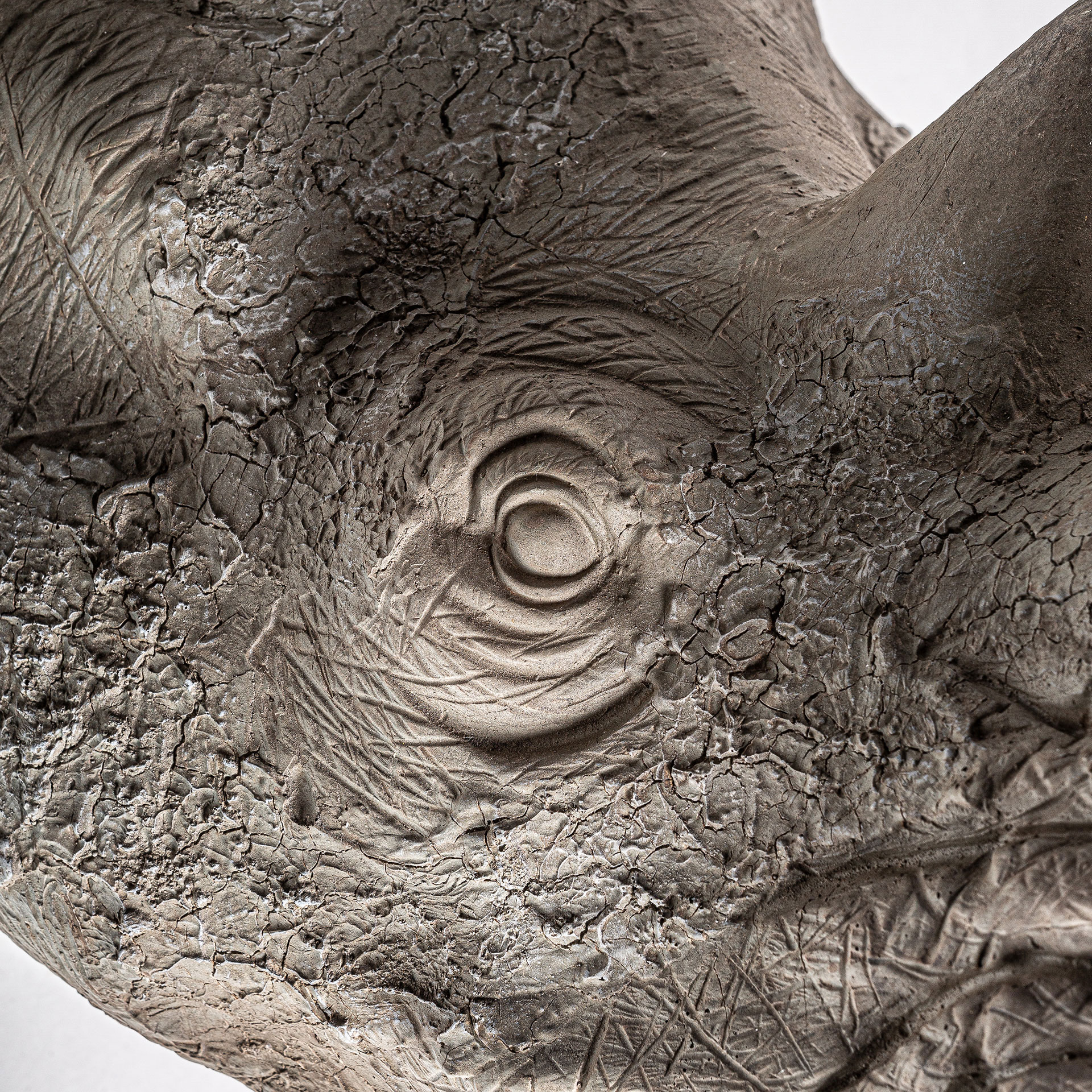 Бюст Rhinoceros Vical