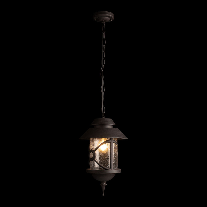 Подвесной уличный светильник LOFT IT 100021P