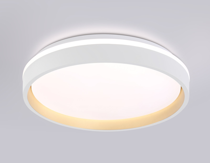 Накладной светильник Ambrella Light FZ601