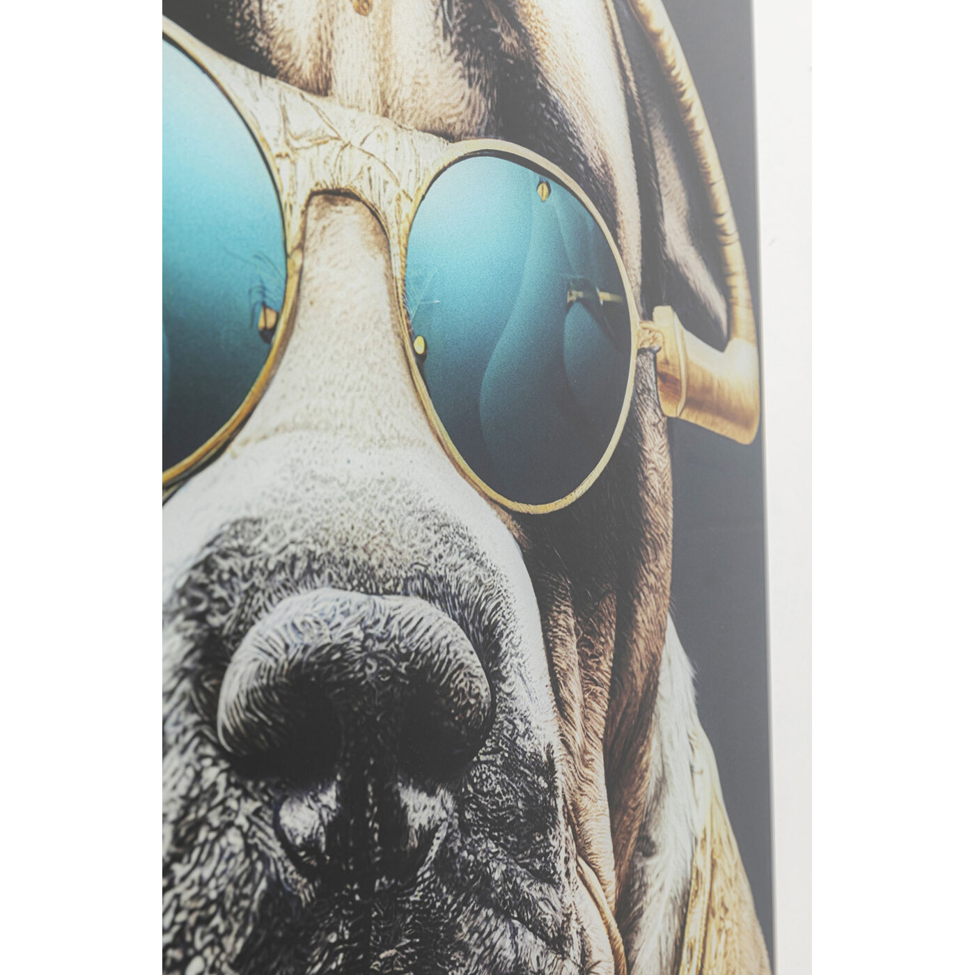 Картина стеклянная Fashion Dog 60x80 см KARE 57008