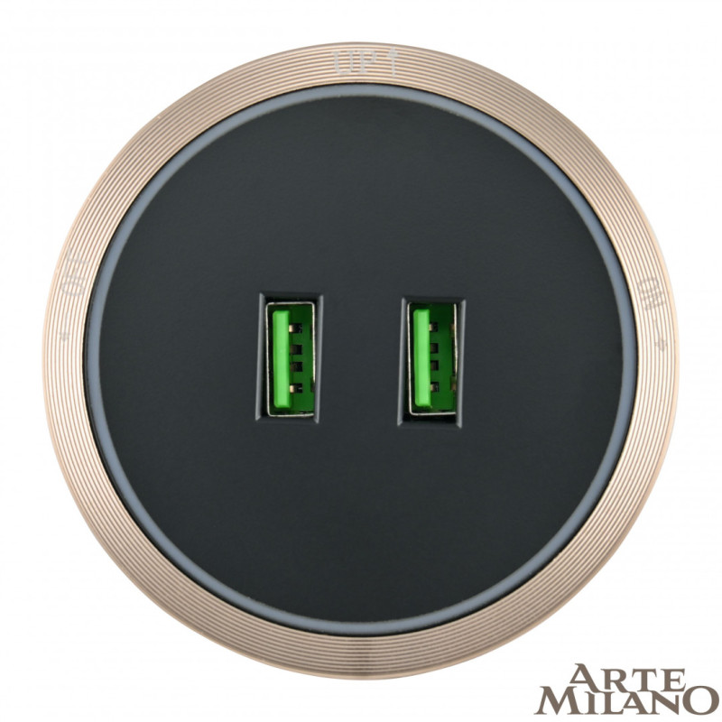 Трековая система розеток Arte Milano 380066TS LED/USBx2 Gold