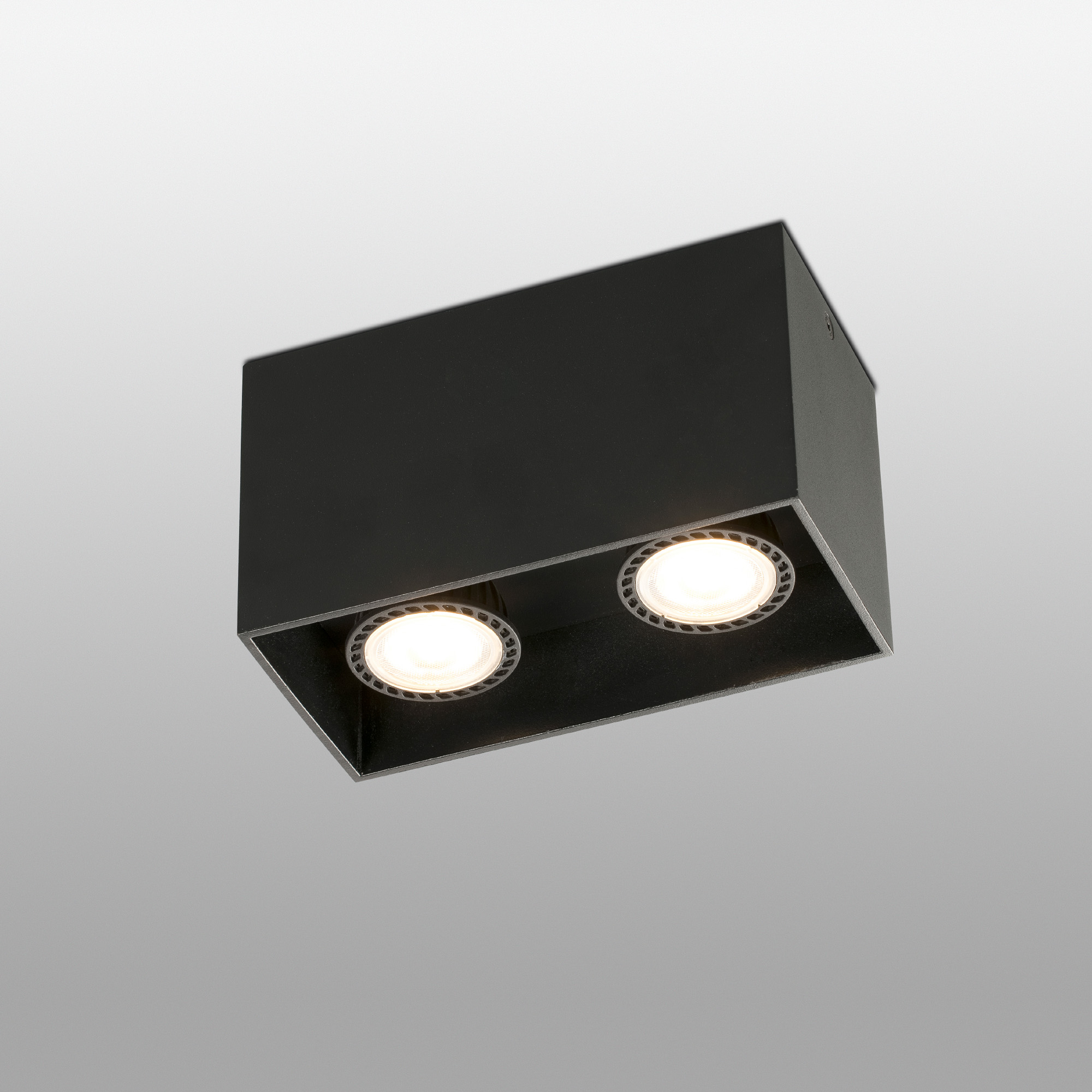 Светильник Tecto черный 2xGU10 50W Faro
