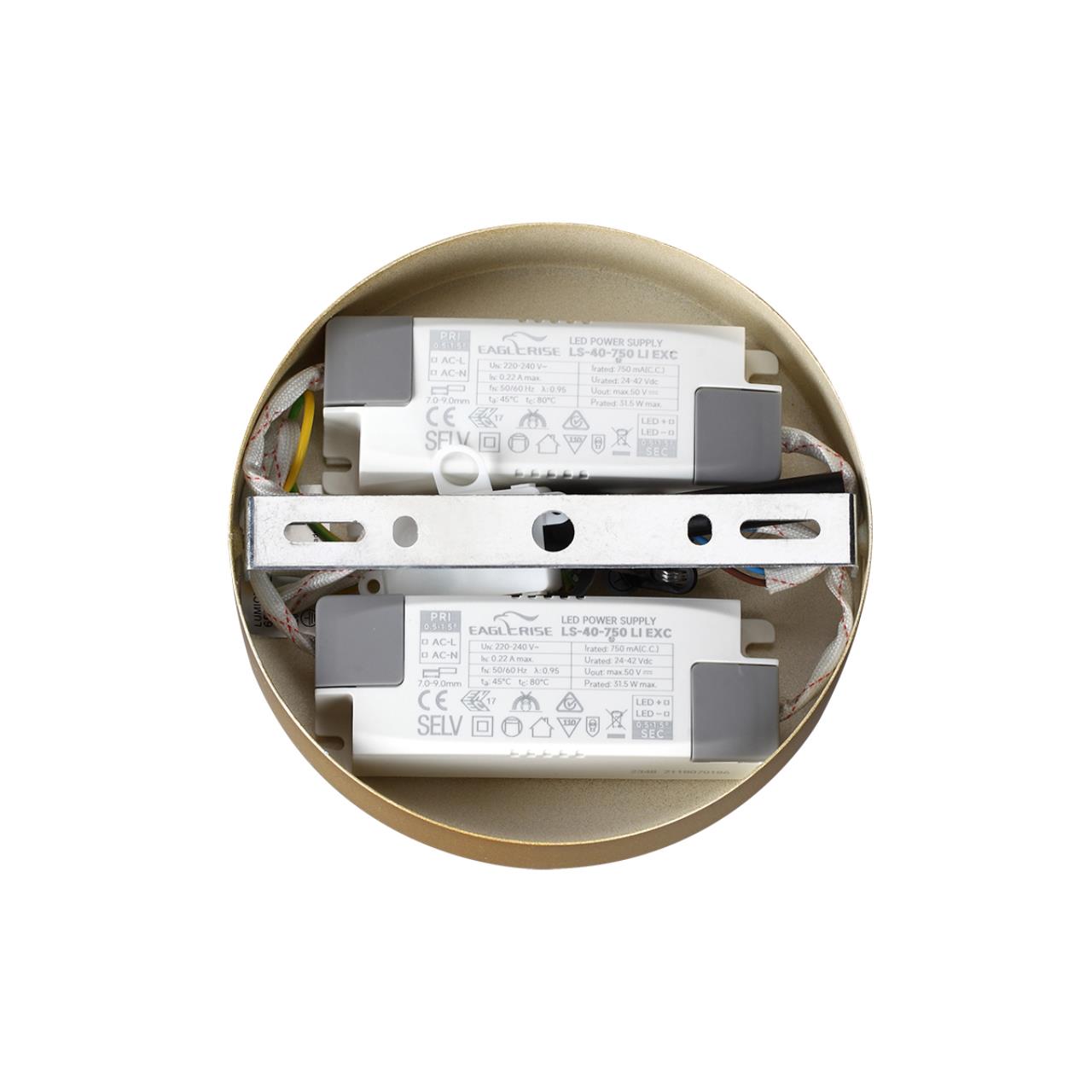 Светильник подвесной Lumion 6564/60L