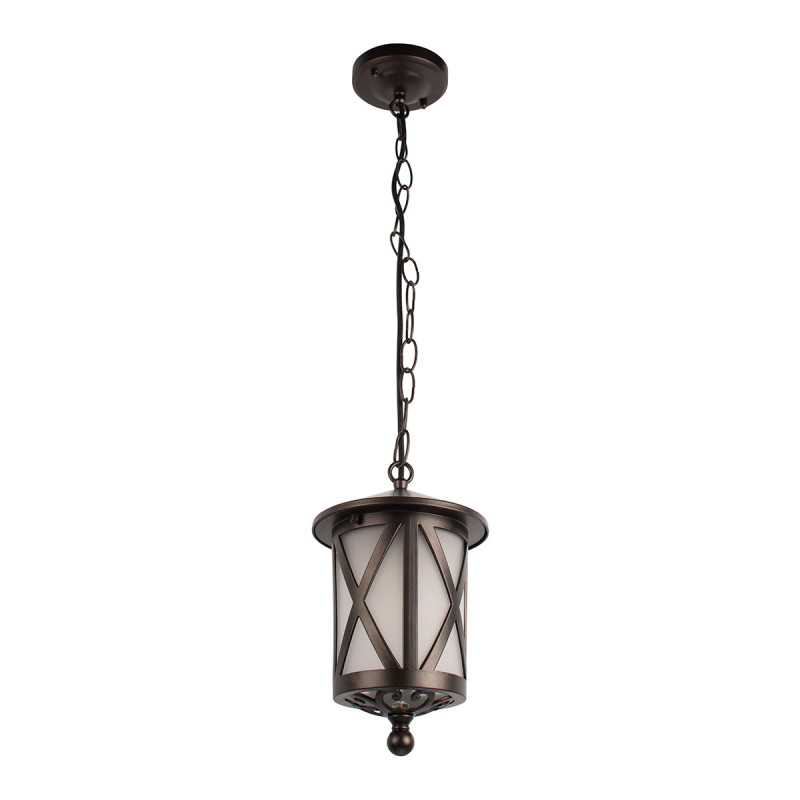 Подвесной уличный светильник LOFT IT 100016P