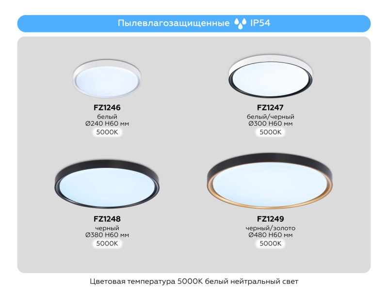 Накладной светильник Ambrella Light FZ1246