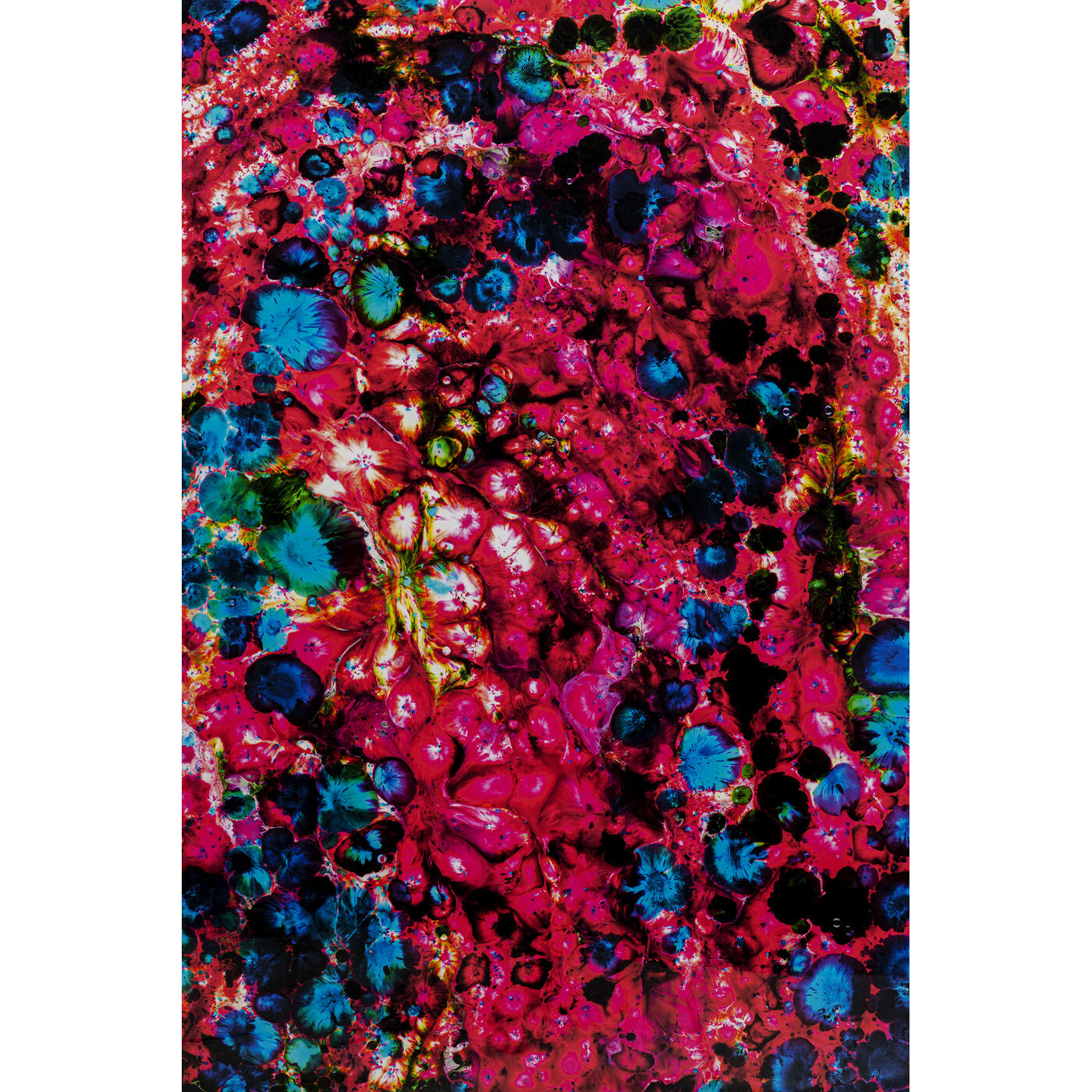 Картина Wild Berries 205x125cm KARE 56570