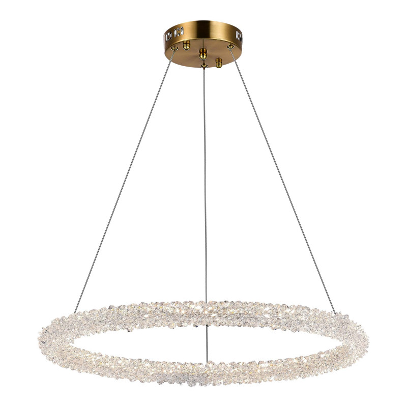 Подвесная люстра ST-Luce SL6110.213.01
