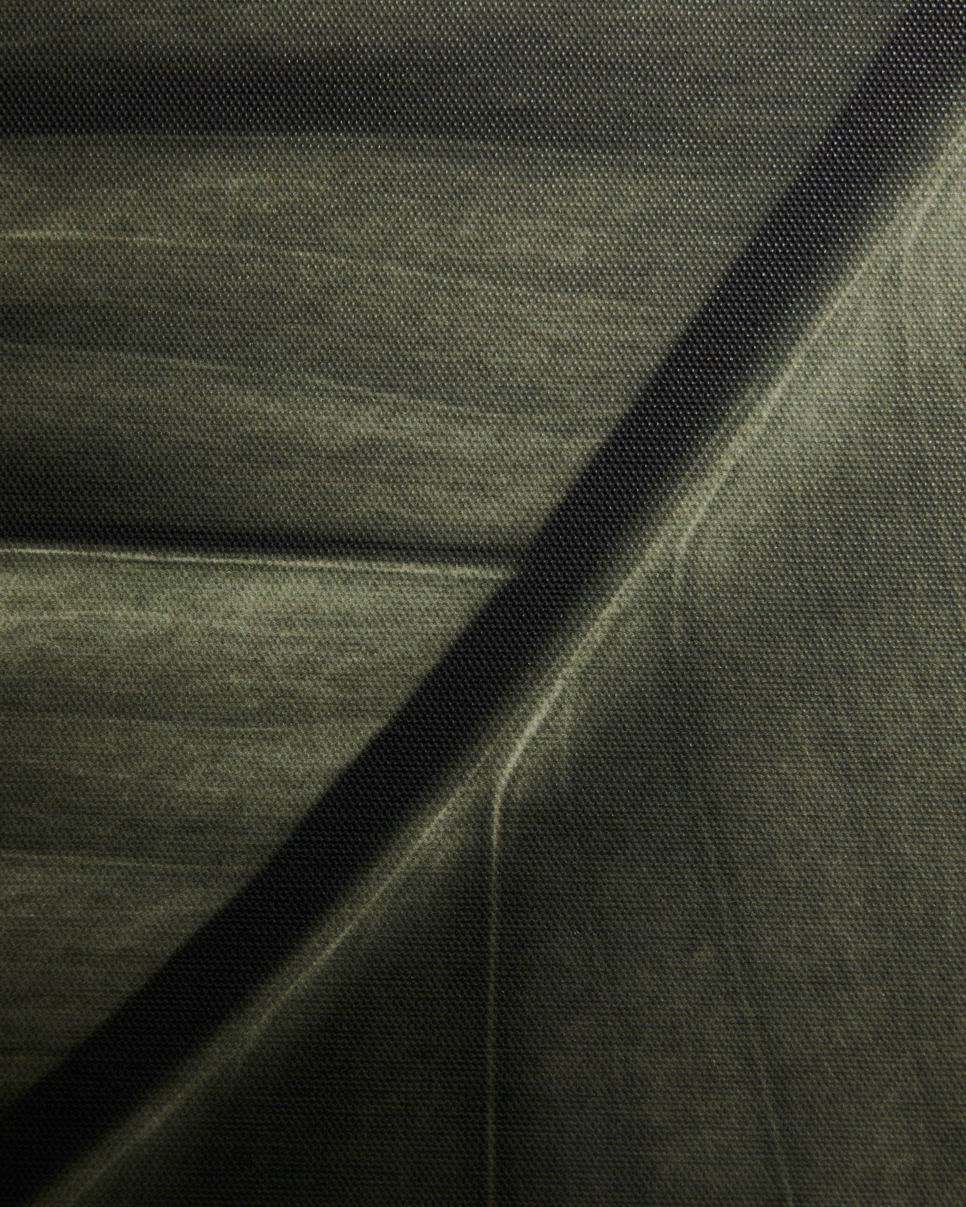 Фотография листа Foliae размер 32,5 x 42,5 см La Forma 481677