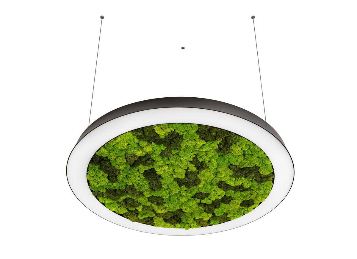 Подвесной светодиодный светильник Donolux DL1000S90WW Moss Black
