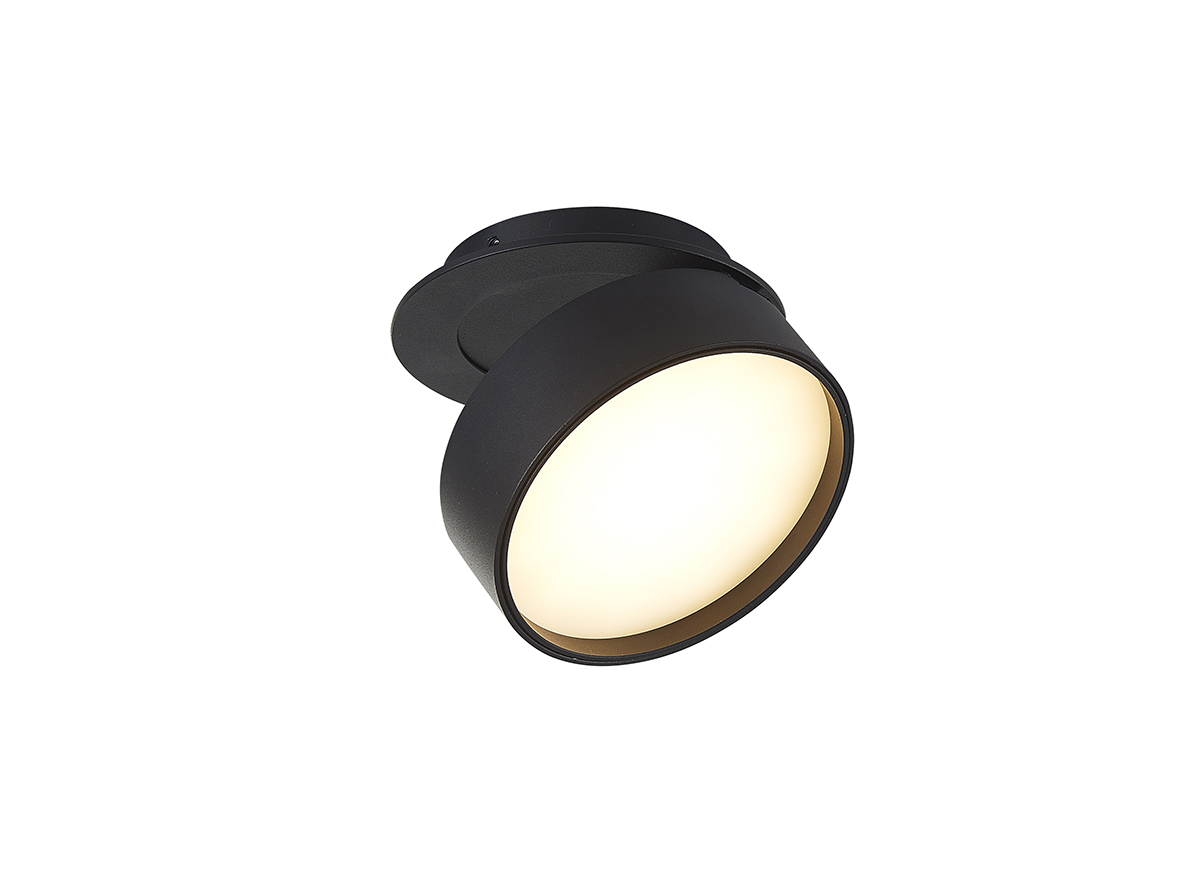 Встраиваемый поворотный светодиодный светильник Donolux DL18959R12W1B