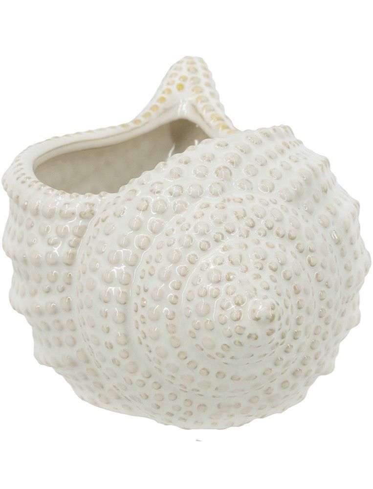 Кашпо Ракушка Glasar C6113