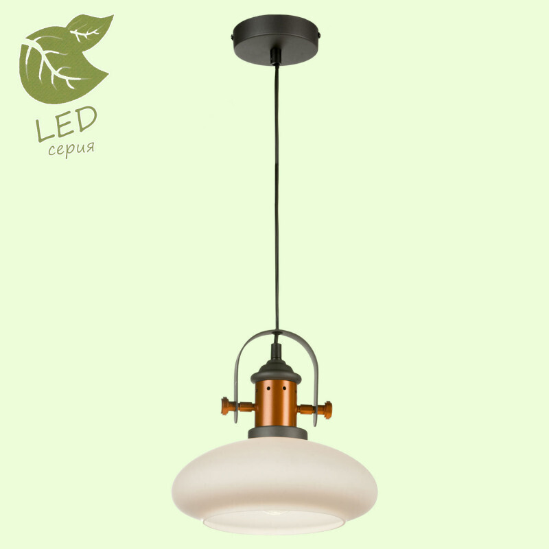 Подвесной светильник Lussole LOFT GRLSP-9845