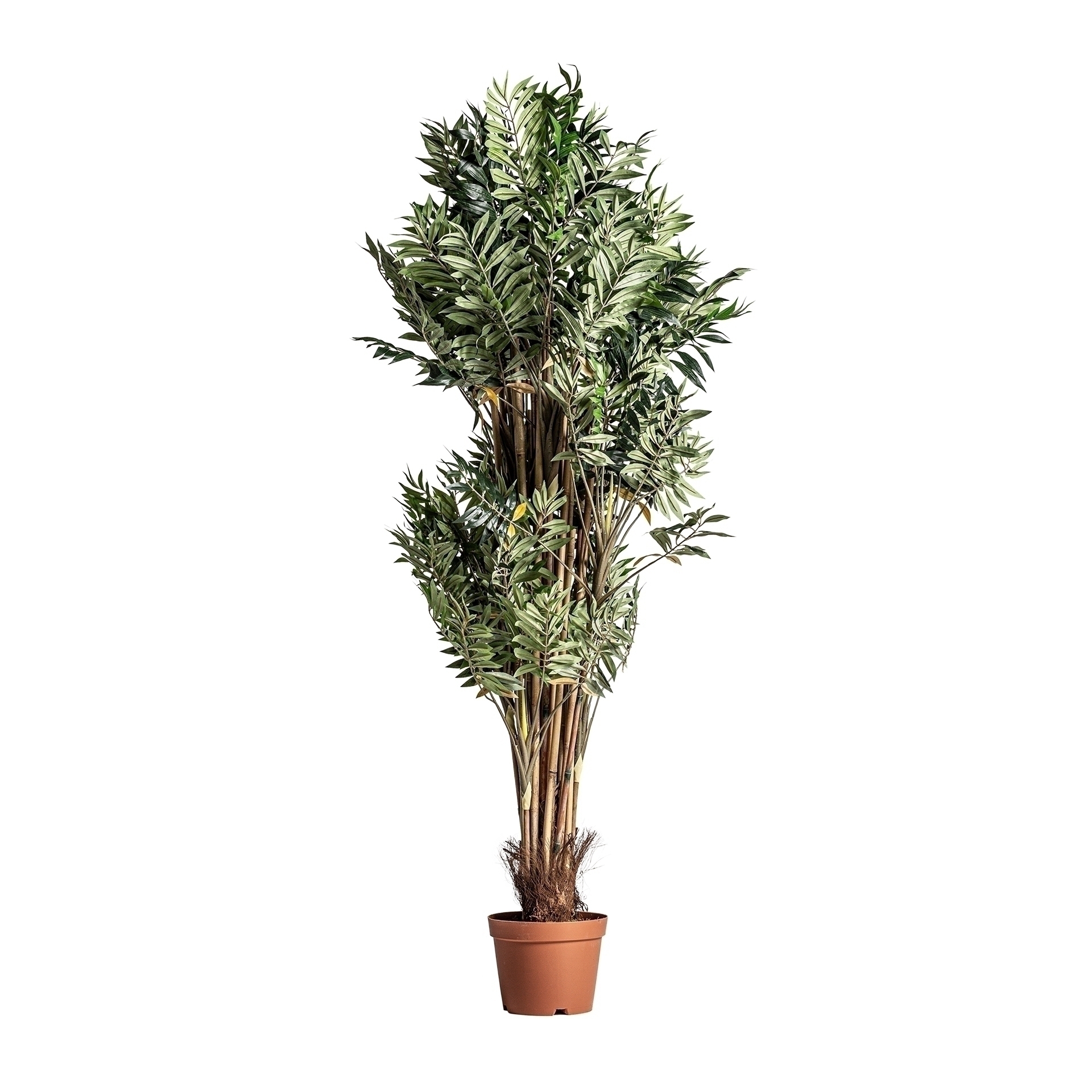 Растение искусственное BAMBU Vical