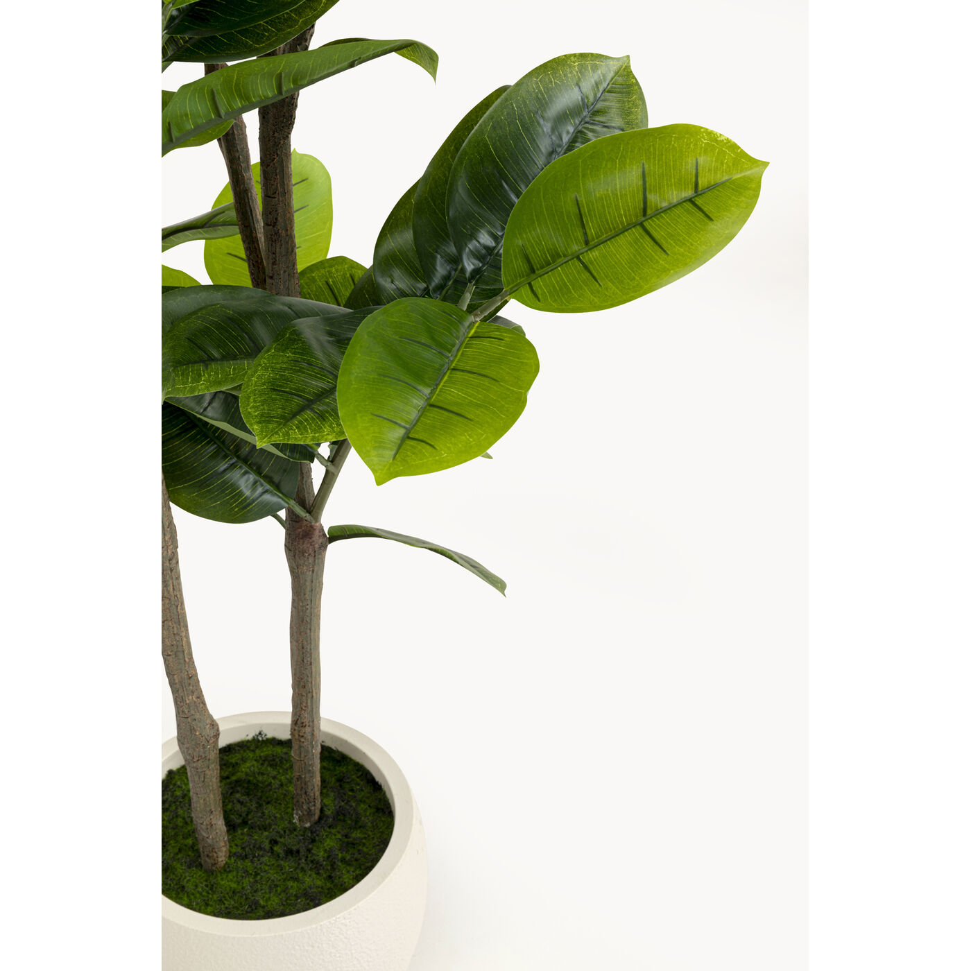 Растение декоративное Balata Tree 162cm KARE 58351
