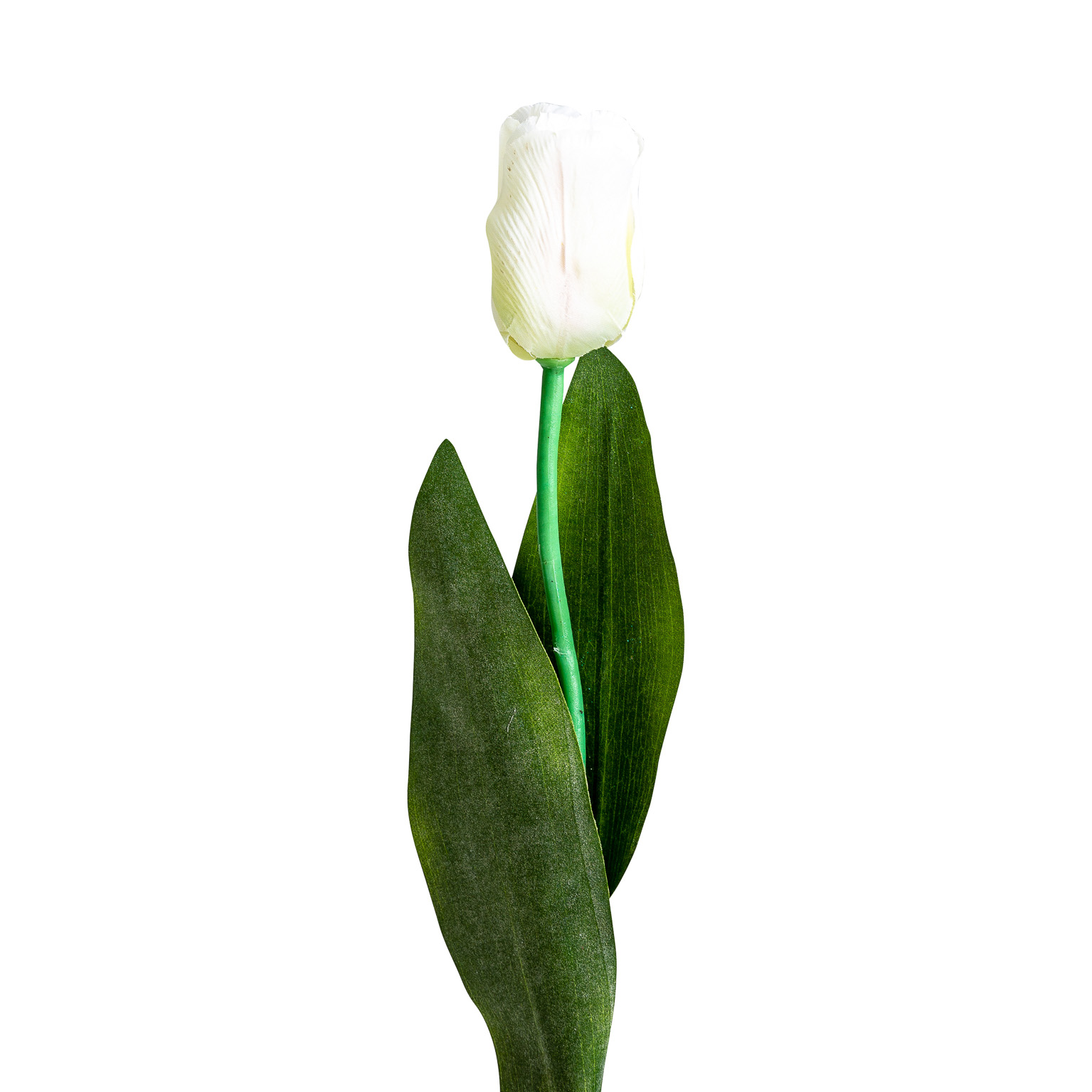 Цветок TULIPAN в белом цвете Vical