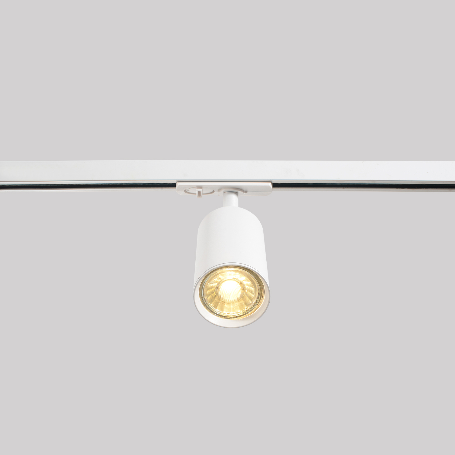 Светильник однофазный Crystal Lux CLT 0.31 018 WH