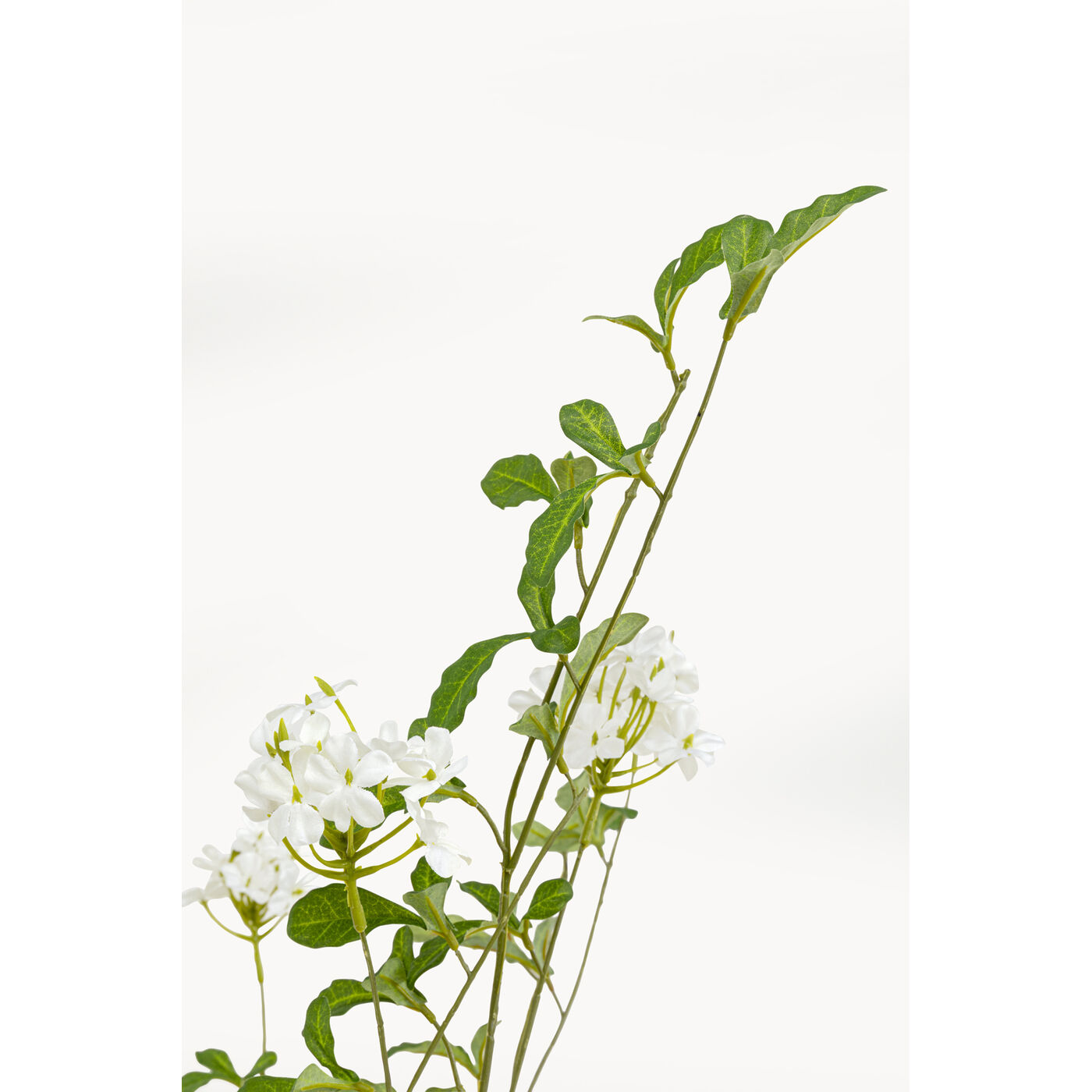 Растение декоративное PlumСумкаo Tree 152cm KARE 57947