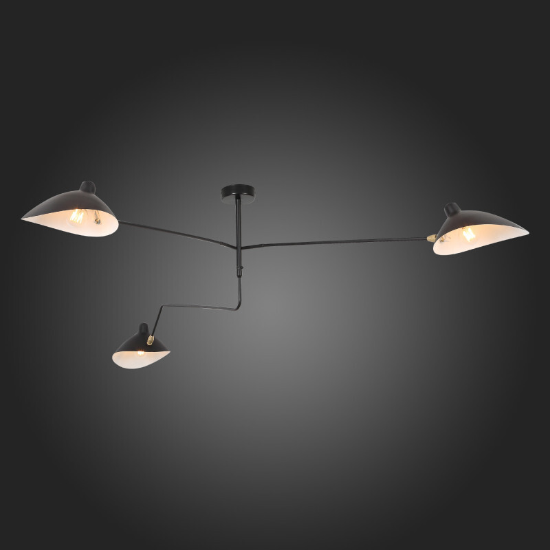 Люстра на штанге ST Luce SL305.402.03