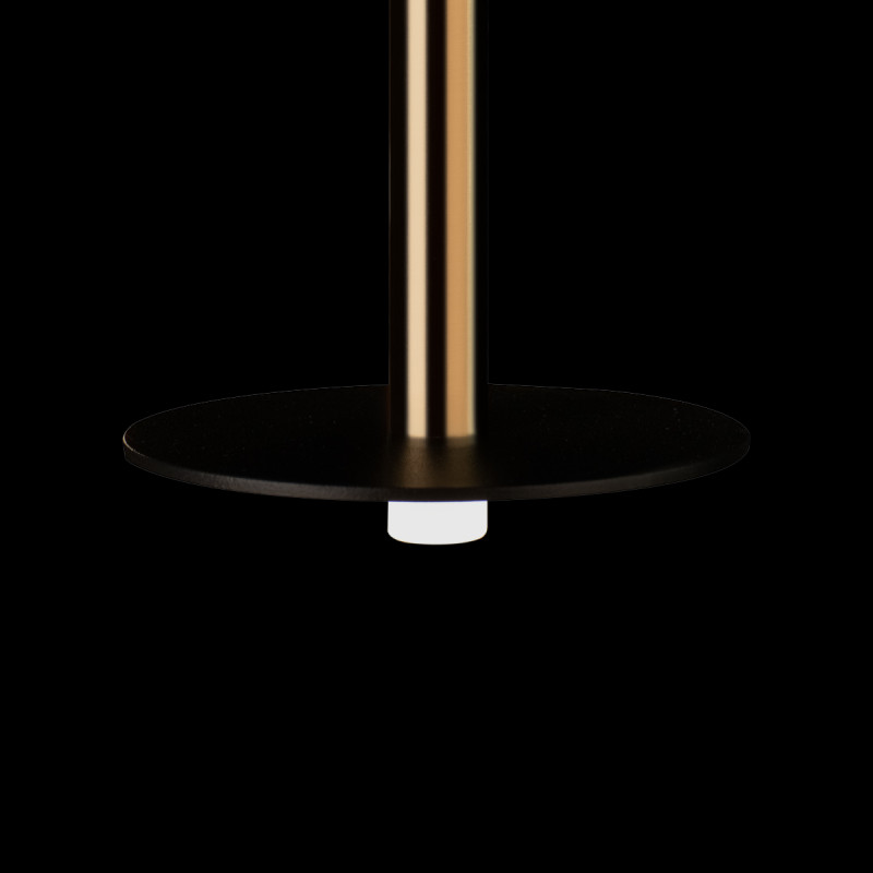 Подвесной светильник LOFT IT 10358/830 Disk AB