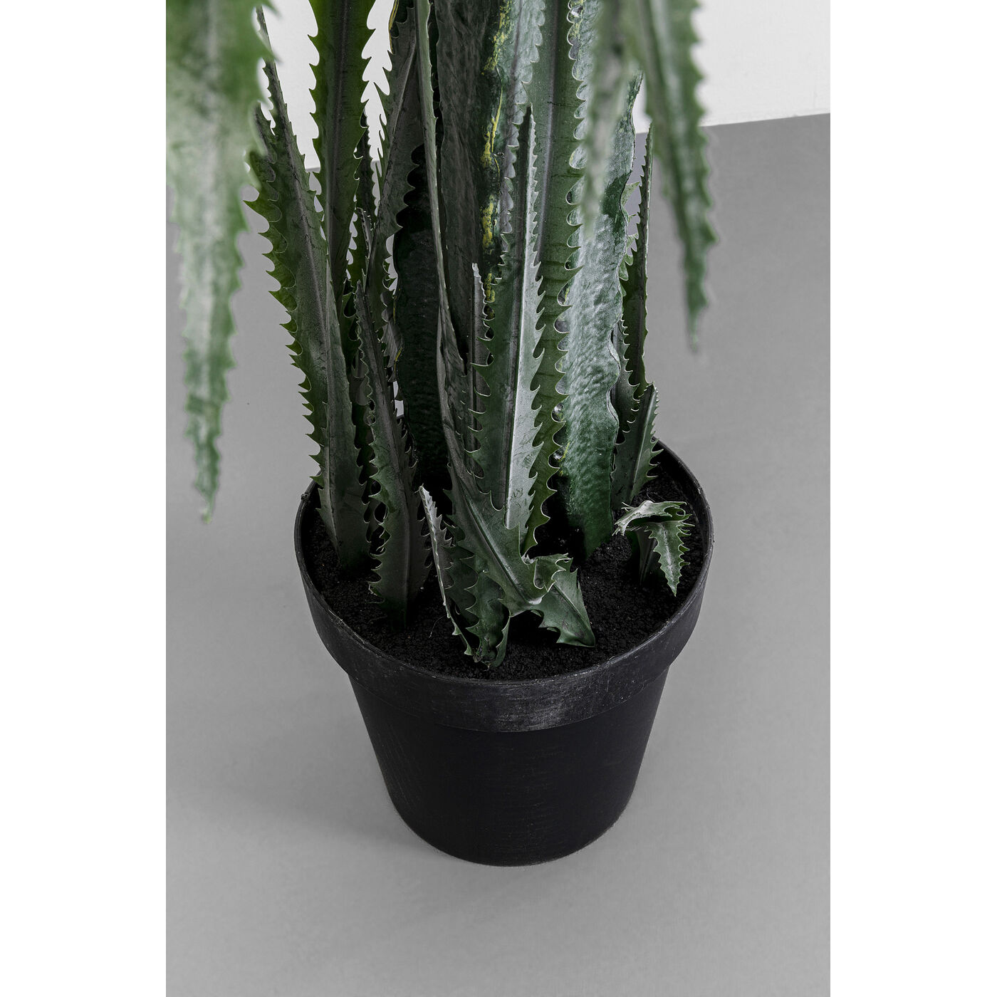 Растение декоративное Dragon Tree 155 см KARE 55916