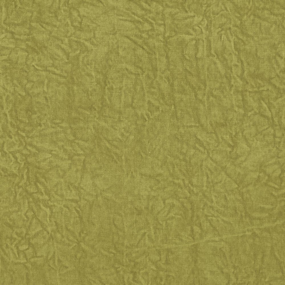 Текстиль Clarke & Clarke Botanist F1434/02