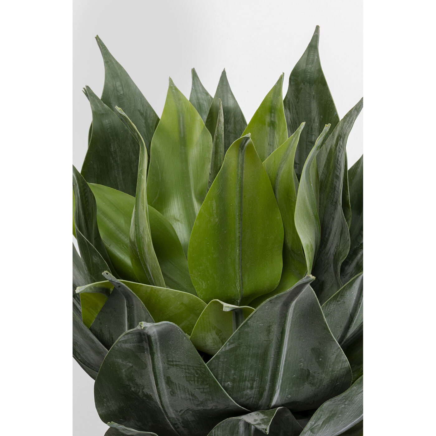 Растение декоративное Agave 120 см KARE 55922