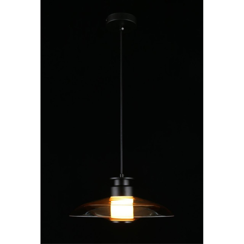 Подвесной светильник APLOYT APL.648.16.10