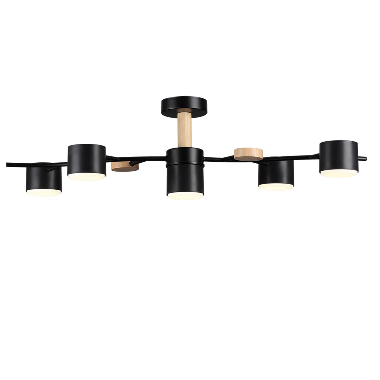 Потолочный светильник Lumion 8194/5C