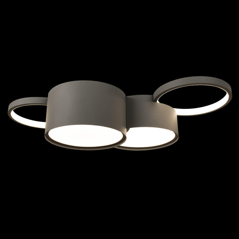 Накладной светильник LOFT IT 10317/4 Grey
