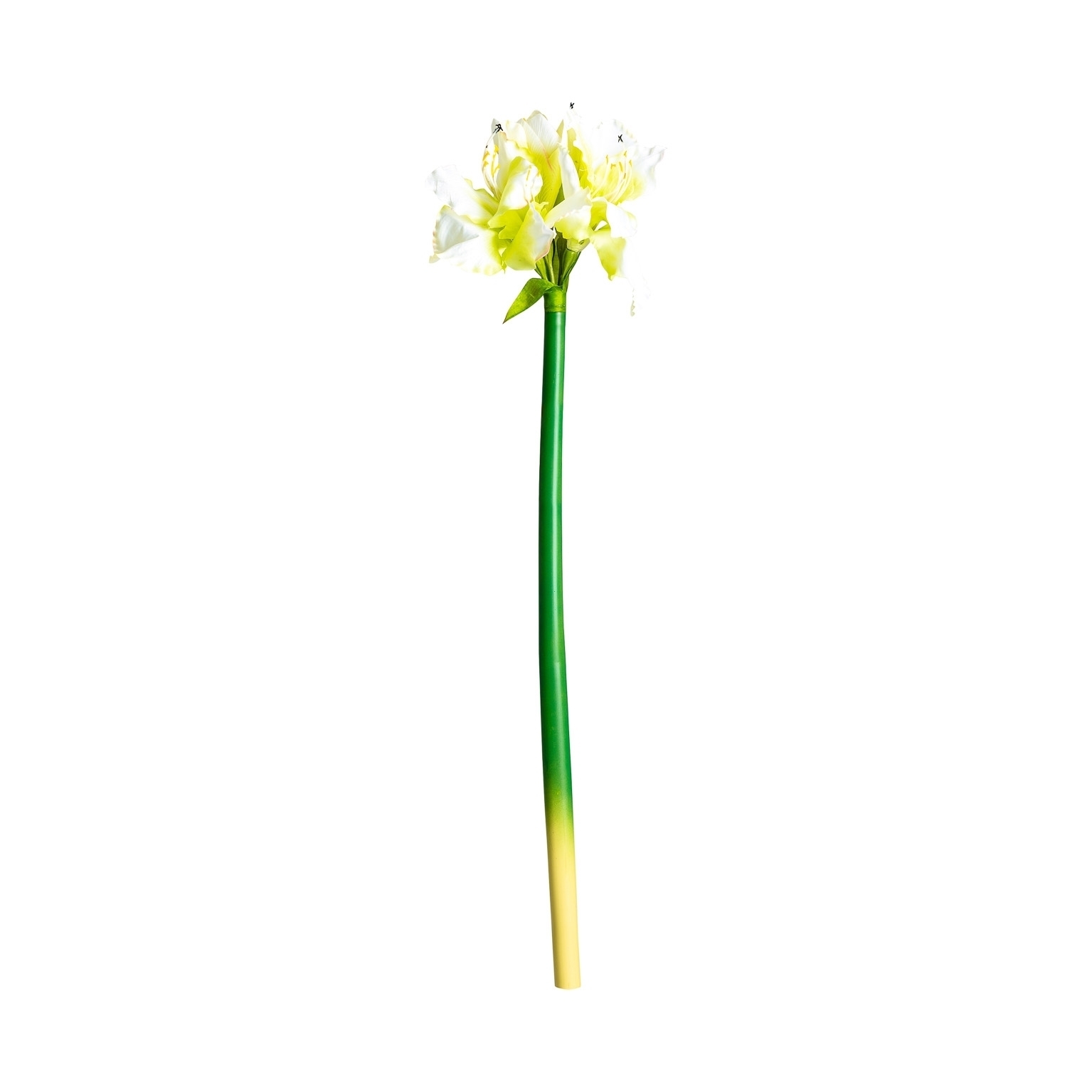 Цветок AMARYLLIS цвет белый Vical