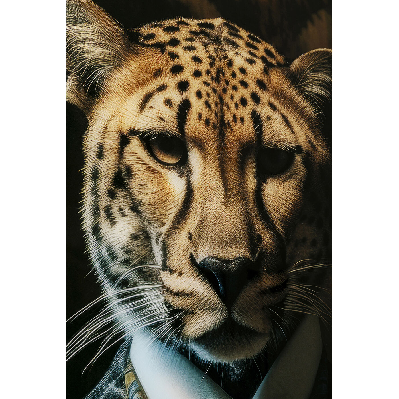 Картина стеклянная Mister Leo 40x30cm KARE 57824