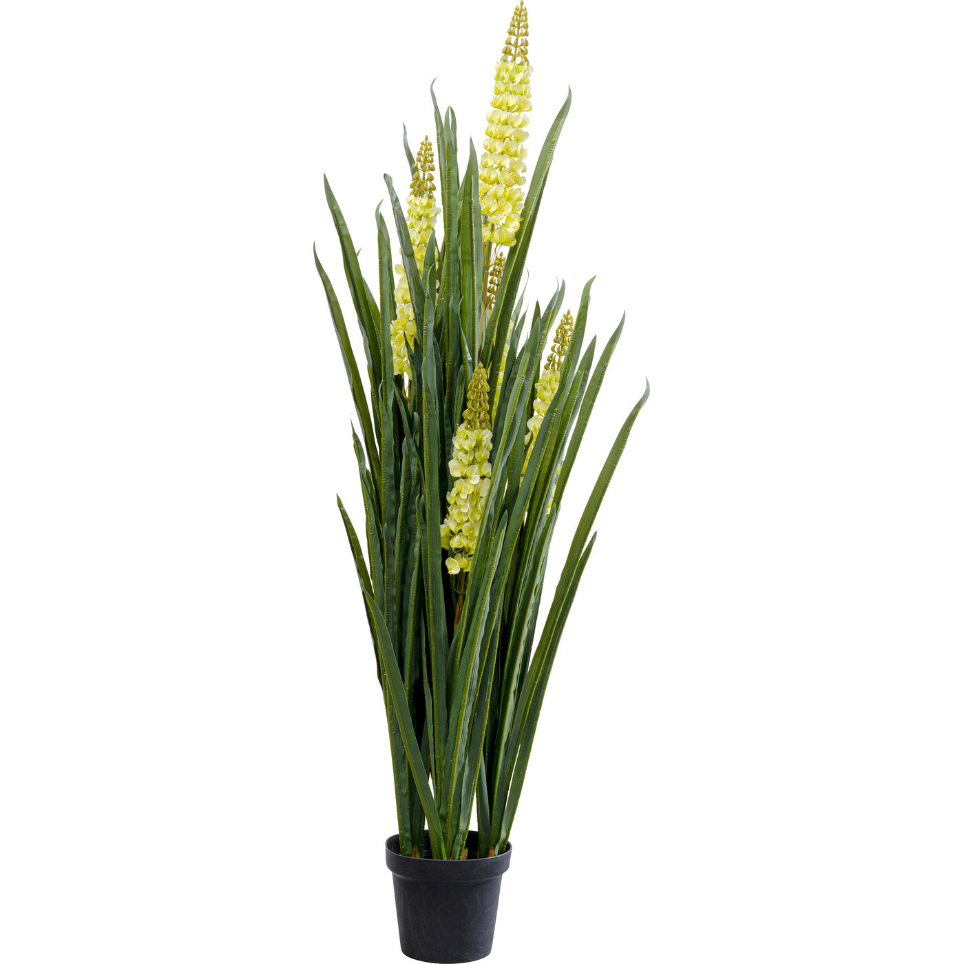 Растение декоративное Rhynchostylis 55 см KARE 55913