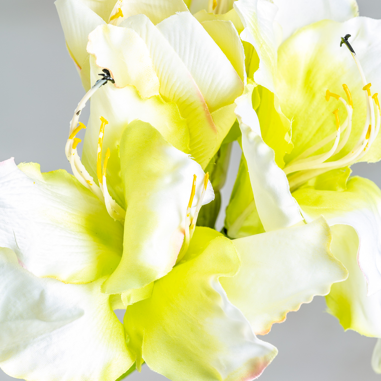 Цветок AMARYLLIS цвет белый Vical