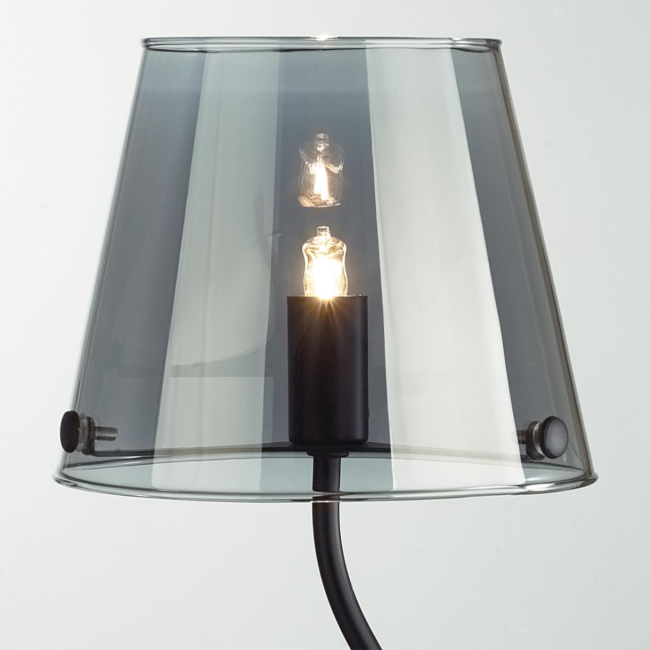 Настольная лампа Lumion 6570/1T