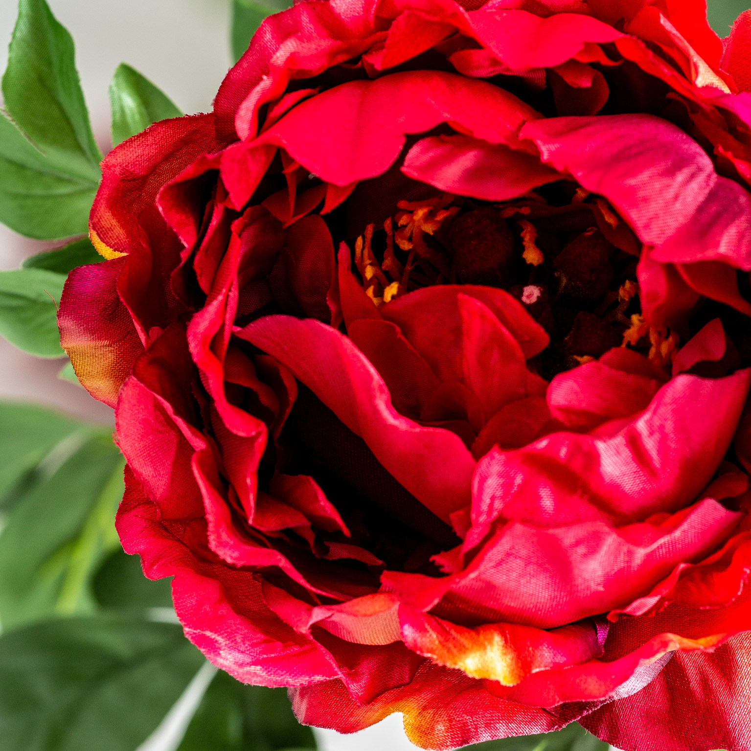 Цветок пиона PEONIA красный Vical